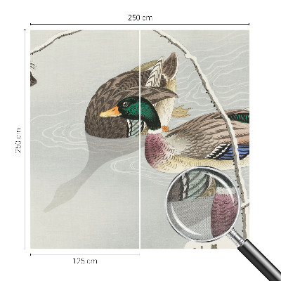 Nursery wall mural Calm ducks