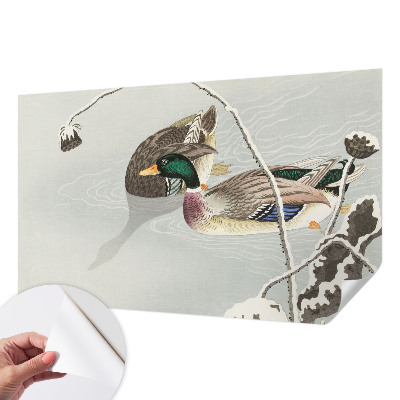 Nursery wall mural Calm ducks