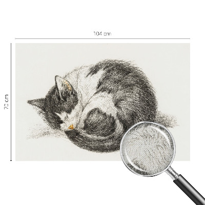 3D photo wallpaper mural featuring an adorable kitten