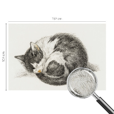 3D photo wallpaper mural featuring an adorable kitten