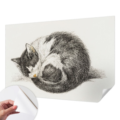 3D photo wallpaper mural featuring an adorable kitten