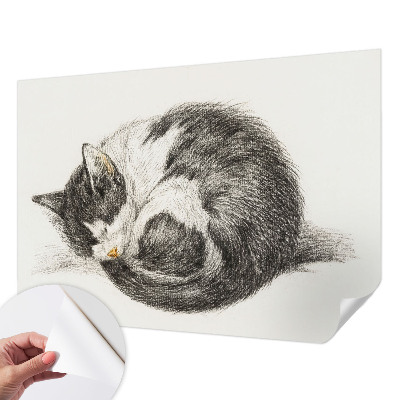 3D photo wallpaper mural featuring an adorable kitten