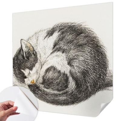 3D photo wallpaper mural featuring an adorable kitten