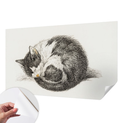 3D photo wallpaper mural featuring an adorable kitten
