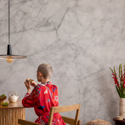 Peel and stick wall mural for living room with a marble elegance design