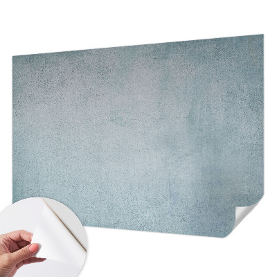 Peel and stick wall mural for bedroom Gray concrete