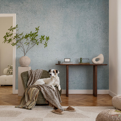 Peel and stick wall mural for bedroom Gray concrete