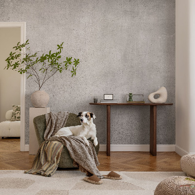 3D photo wallpaper mural with a concrete pattern