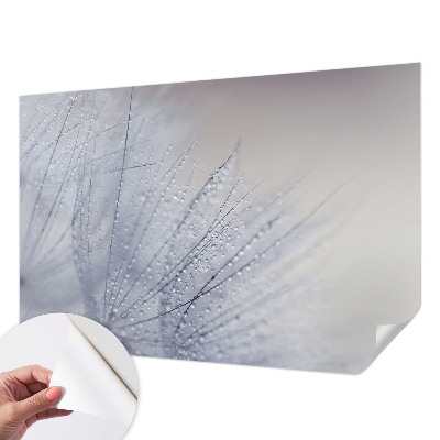 Peel and stick wall mural for living room featuring a dewy dandelion design