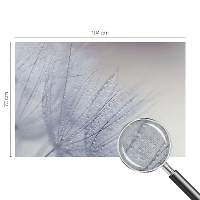 Peel and stick wall mural for living room featuring a dewy dandelion design