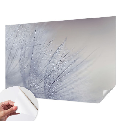 Peel and stick wall mural for living room featuring a dewy dandelion design