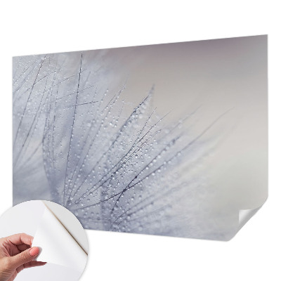 Peel and stick wall mural for living room featuring a dewy dandelion design