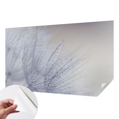 Peel and stick wall mural for living room Dewy dandelion