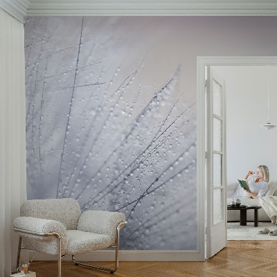 Peel and stick wall mural for living room featuring a dewy dandelion design