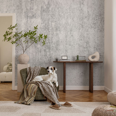 Peel and stick wall mural for kids' room Concrete wall