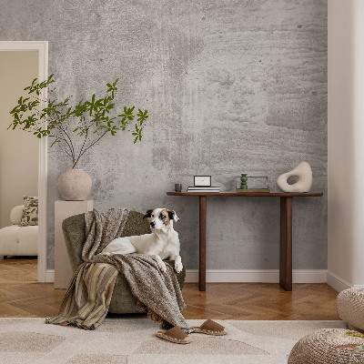 Self-adhesive photo wallpaper Raw concrete