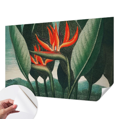 Peel and stick wall mural with an exotic floral design