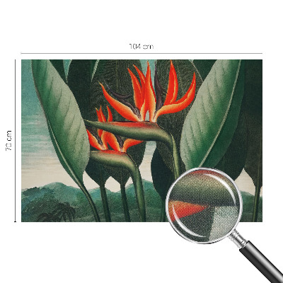 Peel and stick wall mural with an exotic floral design