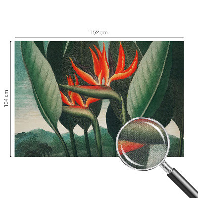 Peel and stick wall mural with an exotic floral design