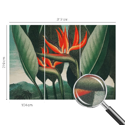 Peel and stick wall mural with an exotic floral design