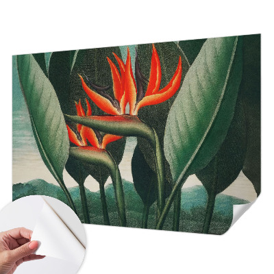 Peel and stick wall mural with an exotic floral design