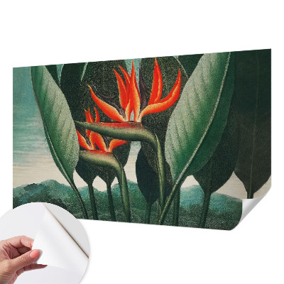 Peel and stick wall mural with an exotic floral design