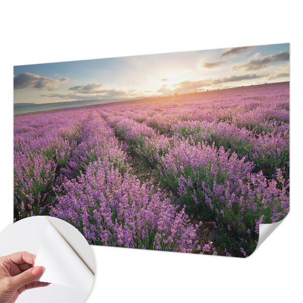 Baby room wall mural with lavender fields design