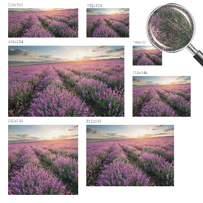 Baby room wall mural Lavender fields