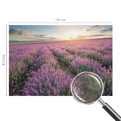 Baby room wall mural Lavender fields