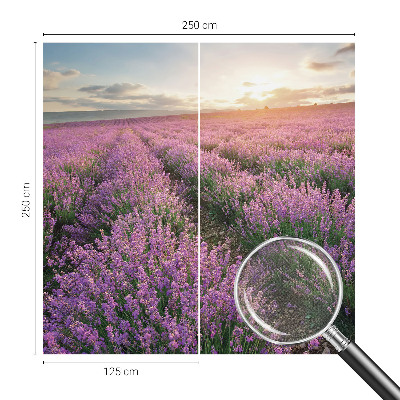 Baby room wall mural Lavender fields