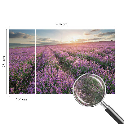 Baby room wall mural with lavender fields design
