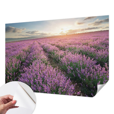 Baby room wall mural with lavender fields design