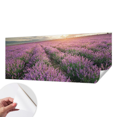 Baby room wall mural with lavender fields design
