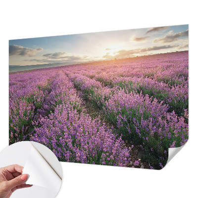 Baby room wall mural Lavender fields