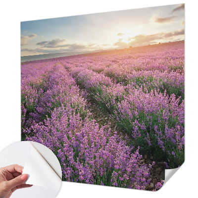 Baby room wall mural with lavender fields design