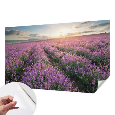 Baby room wall mural Lavender fields