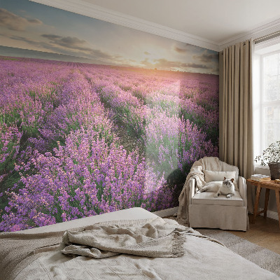 Baby room wall mural Lavender fields