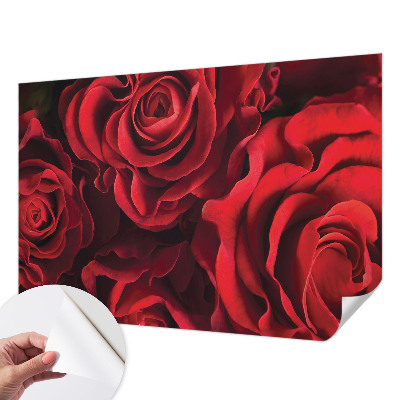 Peel and stick wall mural with a red rose pattern
