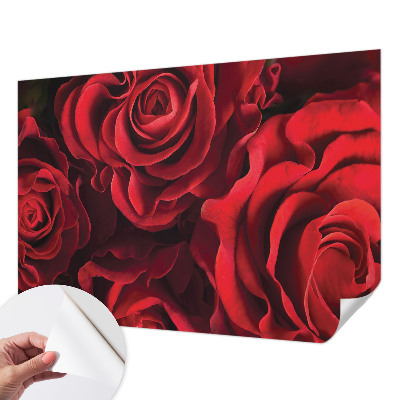 Peel and stick wall mural with a red rose pattern