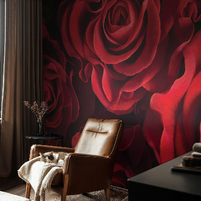 Peel and stick wall mural Red roses