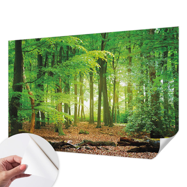 Peel and stick wallpaper mural Green forest