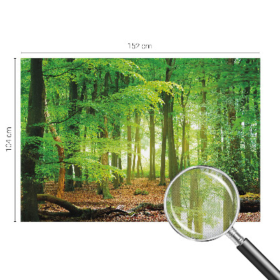 Peel and stick wallpaper mural Green forest