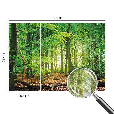 Peel and stick wallpaper mural with a green forest design