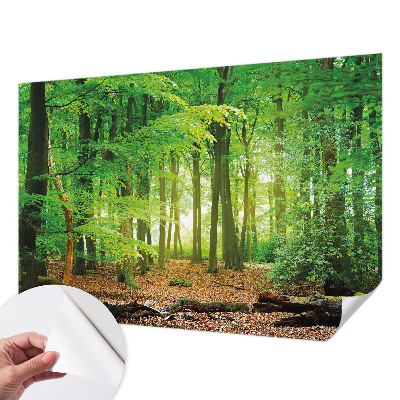 Peel and stick wallpaper mural with a green forest design