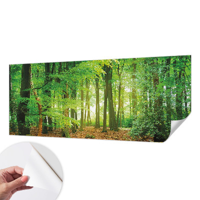 Peel and stick wallpaper mural Green forest