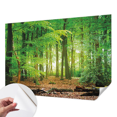 Peel and stick wallpaper mural with a green forest design