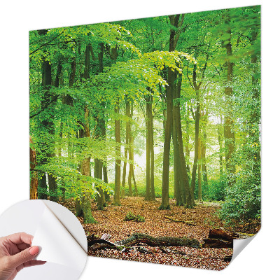 Peel and stick wallpaper mural Green forest