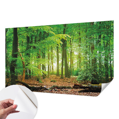 Peel and stick wallpaper mural with a green forest design