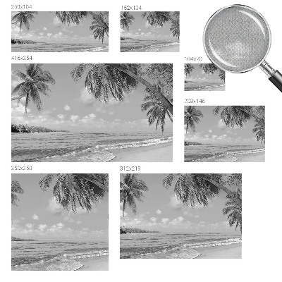 Self-adhesive wall mural Tropical paradise
