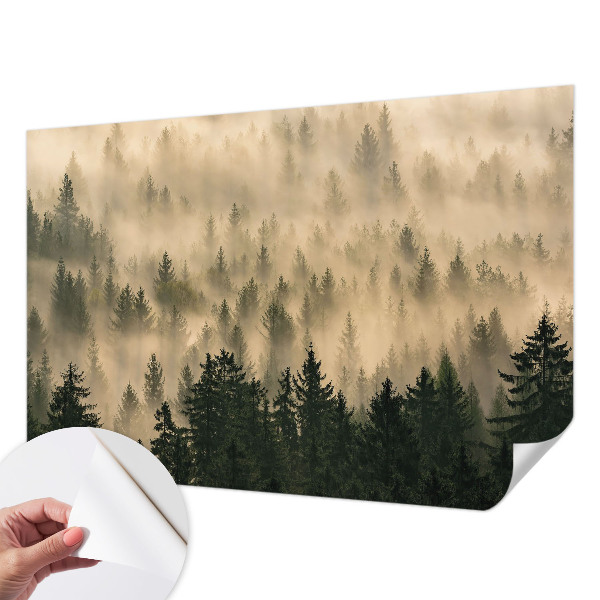 Peel and stick wall mural for living room Forest fog